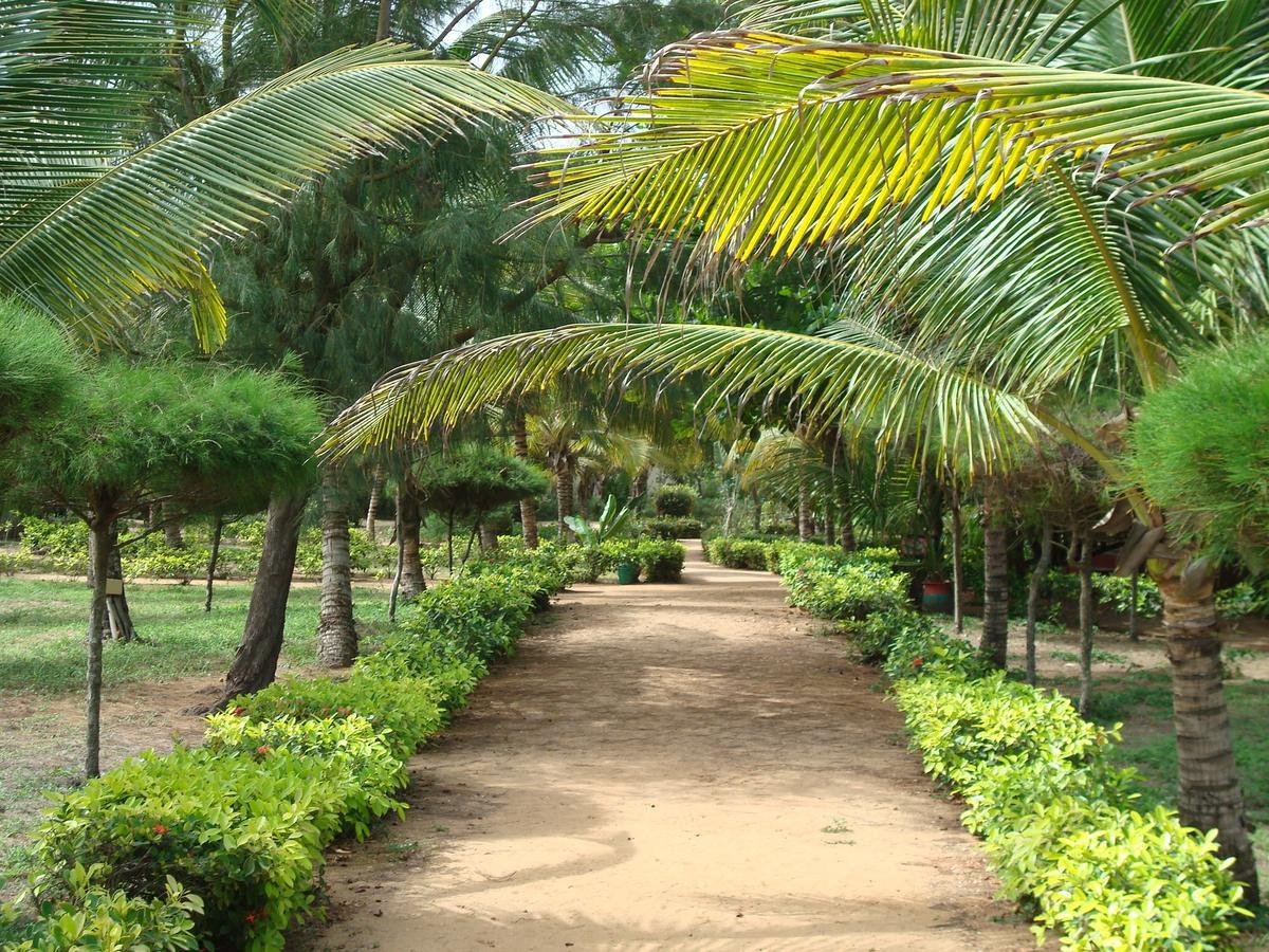 Hotel Village Vacances Awale Plage Grand-Popo Luaran gambar