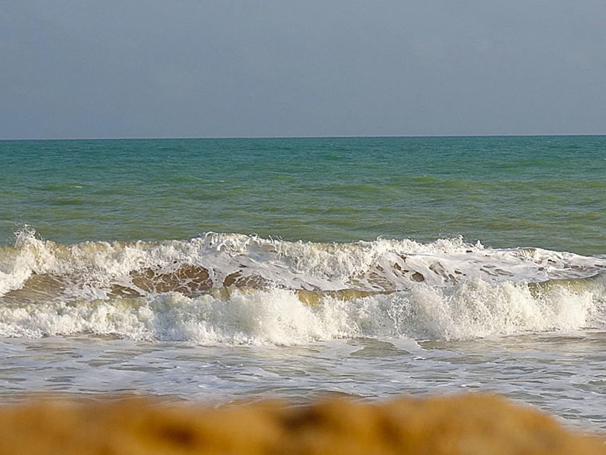 Hotel Village Vacances Awale Plage Grand-Popo Luaran gambar